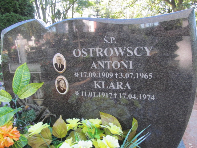 Klara Ostrowska 1917 Łasin - Grobonet - Wyszukiwarka osób pochowanych