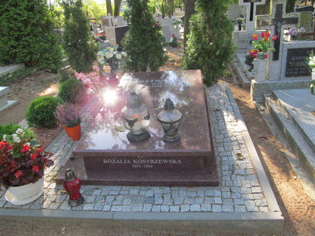 Zofia Kostrzewska 1950 Łasin - Grobonet - Wyszukiwarka osób pochowanych