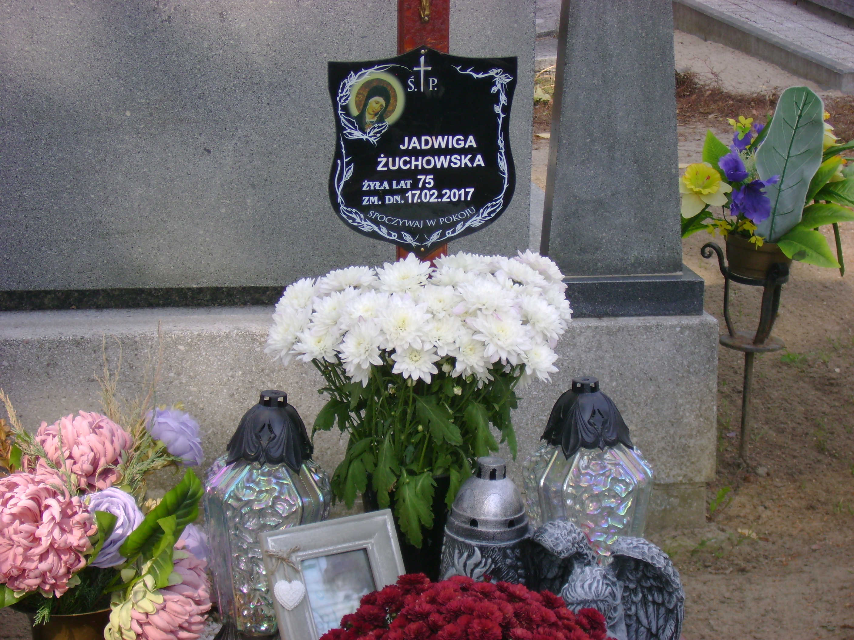 Jadwiga Żuchowska 1942 Łasin - Grobonet - Wyszukiwarka osób pochowanych