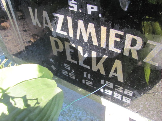 Kazimierz Pełka 1936 Łasin - Grobonet - Wyszukiwarka osób pochowanych