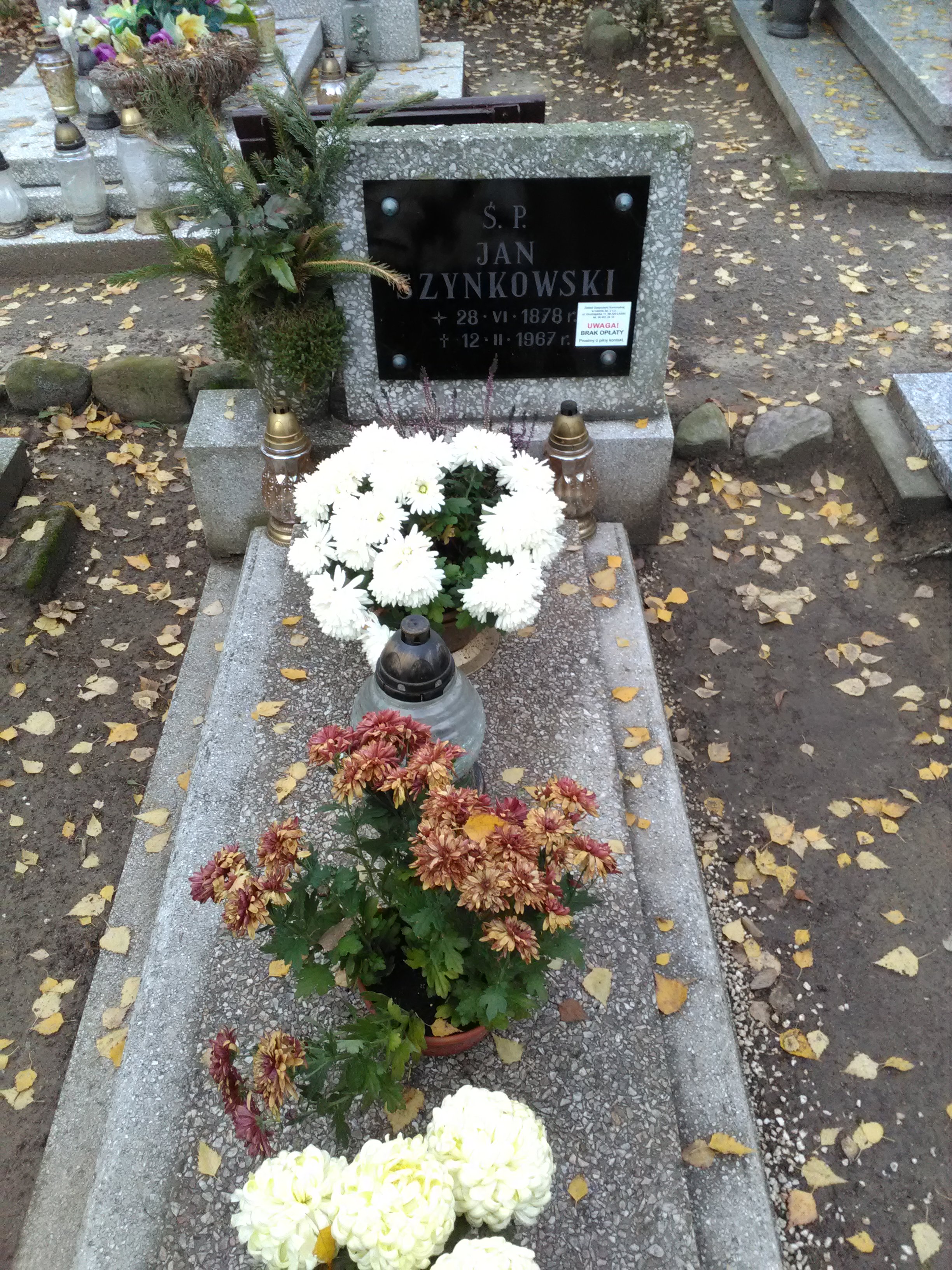 Zdjęcie grobu