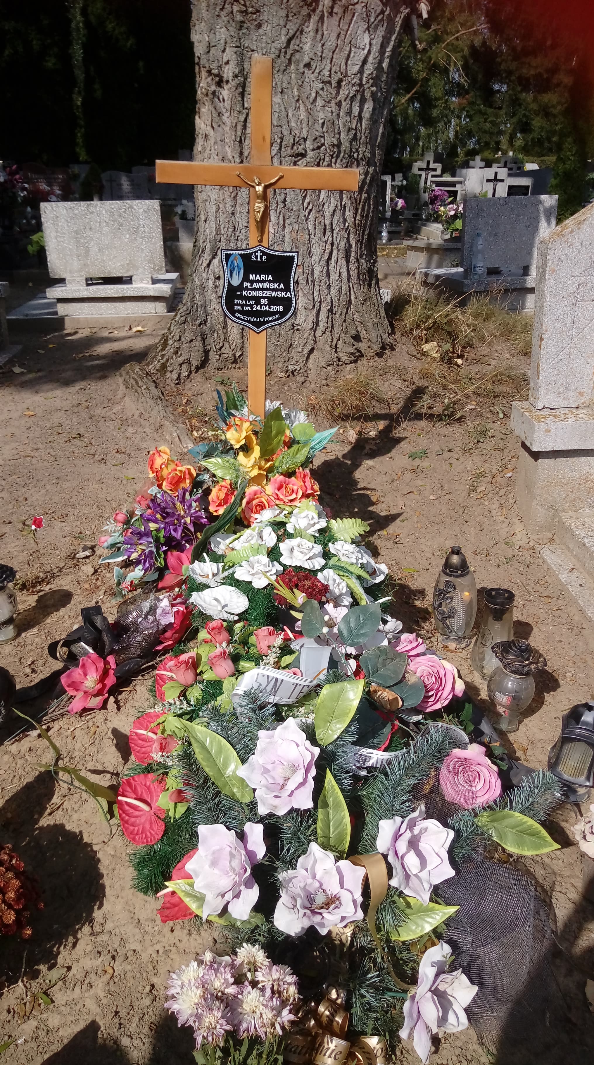 Grób Teofil Pławiński