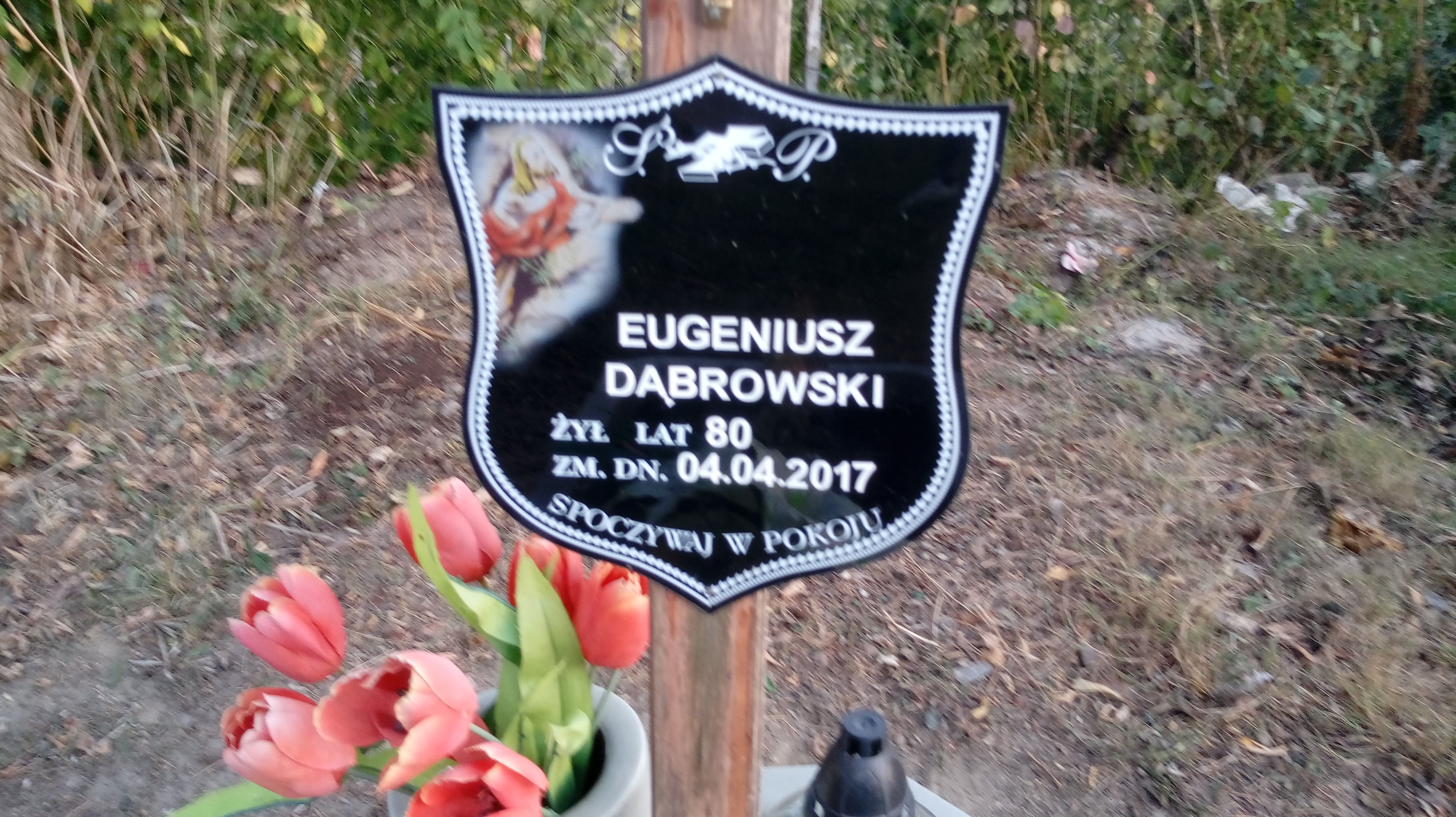 Eugeniusz Dąbrowski 1937 Łasin - Grobonet - Wyszukiwarka osób pochowanych