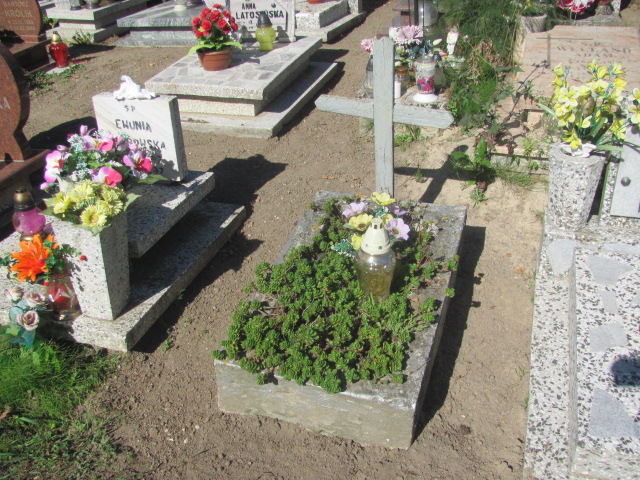  NN Łasin - Grobonet - Wyszukiwarka osób pochowanych