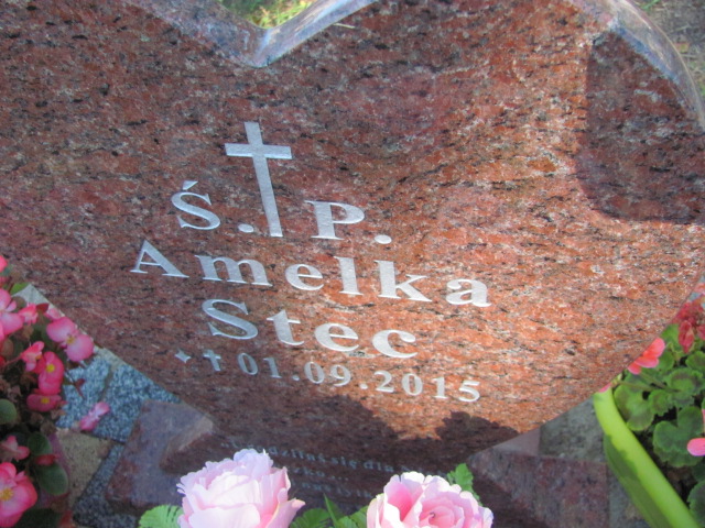 Amelia Stec 2015 Łasin - Grobonet - Wyszukiwarka osób pochowanych