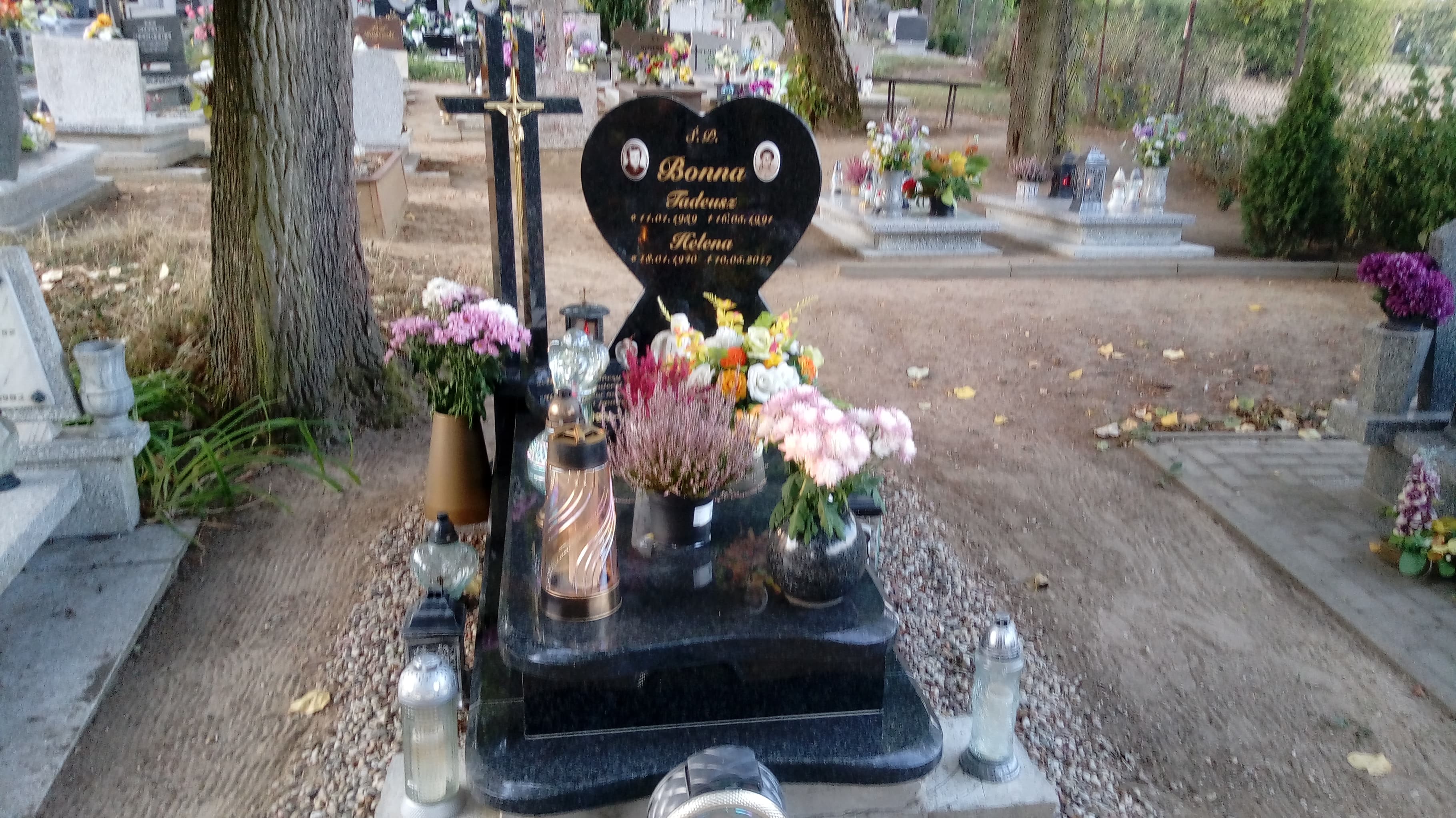 Grób Tadeusz Bonna