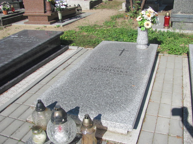 Grób Teodora Średzińska